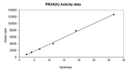 Eurofins DiscoverX PRAK Protein, Active 15 &mu;g | Buy Online | Eurofins DiscoverX | Fisher Scientific